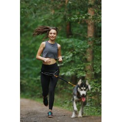 Laisse pour chien mains libres pour Canicross, Jogging, Joring