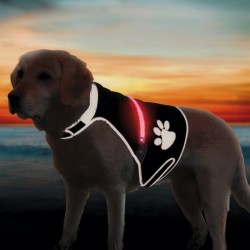 Gilet de sécurité USB Flash pour chien