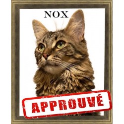 Niche pour chat modèle Nox