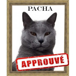 Niche pour chat modèle Pacha