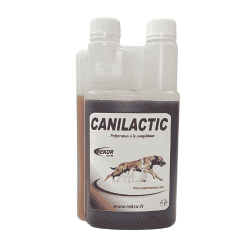 Canilactic