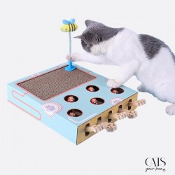 Diverty cats, Cats Your Love, Jeu interactif chat