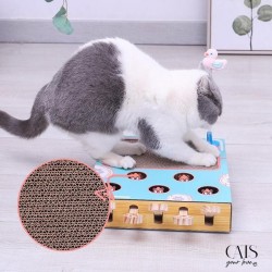 Diverty cats, Cats Your Love, Jeu interactif chat