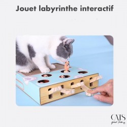 Diverty cats, Cats Your Love, Jeu interactif chat