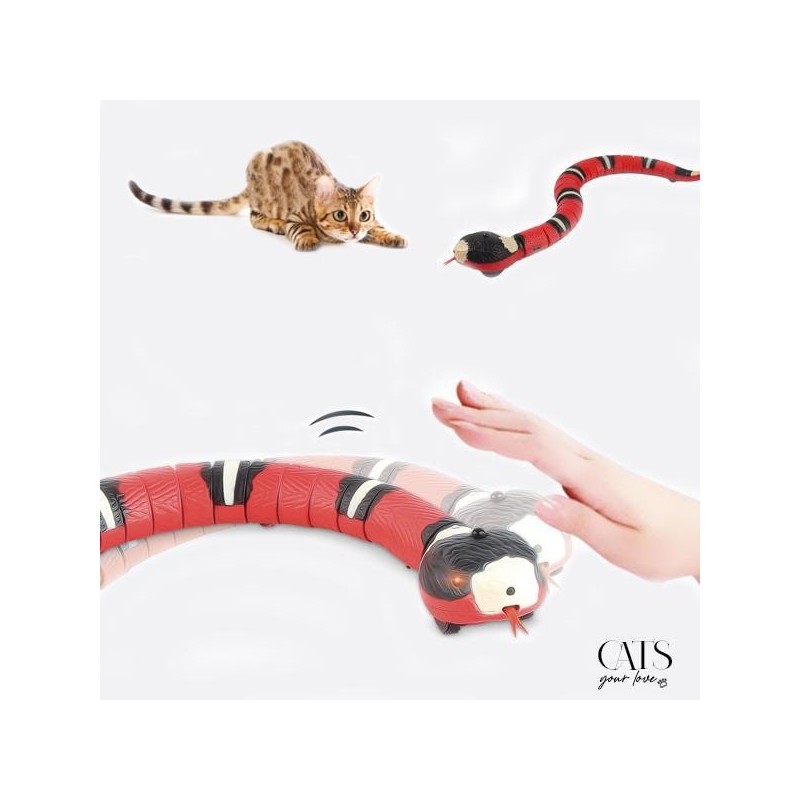 Charpent, Cats Your Love, Serpent interactif pour chat