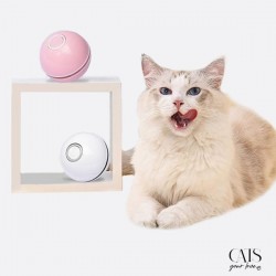 Lovin' Ball, Cats Your Love, Balle interactive chat