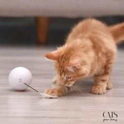 Lovin' Ball, Cats Your Love, Balle interactive chat