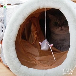 Chaquebot, Cats Your Love, Couchage pour chat, tunnel pour chat