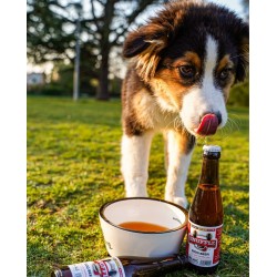 SNUFFLE BEER FOR DOGS - 4 BOUTEILLES SAVEUR BOEUF ET POULET - LET'S PAWTY