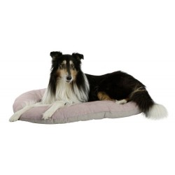 Coussin Golden pour Chien - 70 x 50 cm