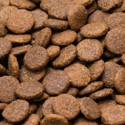 Croquettes sans céréales – Poulet patate douce et herbes – chien adulte – Les Recettes d’Affaire de Pattes - 2 KG