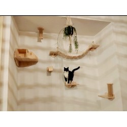 Parc Wood | Chat | Parcours mural en bois pour chat