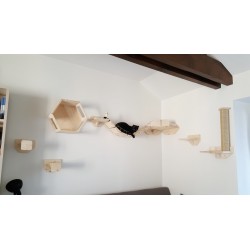 Parc Wood | Chat | Parcours mural en bois pour chat