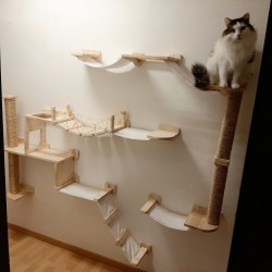 Parc Wood | Chat | Parcours mural en bois