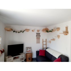 Parc Wood | Chat | Parcours mural en bois pour chat