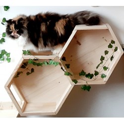 Module hexagonal double mural en bois pour chats
