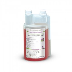 MAGNESIUM & B12 Vitamine