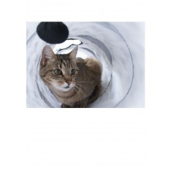 Tunnel Pawty pour chat