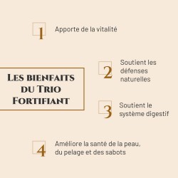 Trio Fortifiant Prince Equin