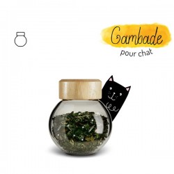 Mobilité & Confort Articulaire, complément alimentaire pour chat, Recharge, "Gambade"