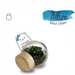 Soin de la Peau & du Pelage, complément alimentaire pour chien, Recharge, "Allure"