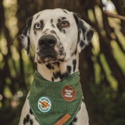 Badges à repasser pour chien - Montrez-nous votre attitude - Amateur de la Nature