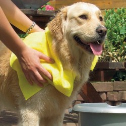 Beeztees | Serviette hyper absorbante pour chiens et chats