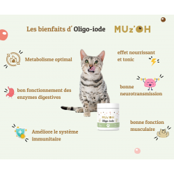 MUz'OH | Chat | Oligo-iode pour un métabolisme optimal 2x100g