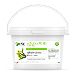 ALGUES MARINES – Fatigue et baisse de forme cheval – Plante pure 1 KG