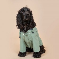 Bandit | Chien | Imperméable Rain Coat Vert