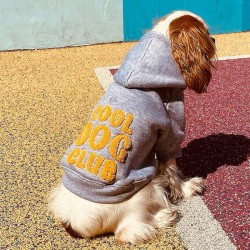 Bandit | Chien | Sweat à capuche Cool Dog Club | Gris