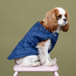 Bandit | Chien | Doudoune matelassée | Bleu marine