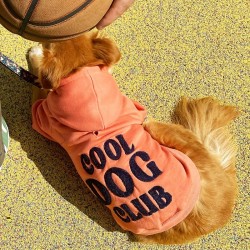 Bandit | Chien | Sweat à capuche Cool Dog Club | Rose clair