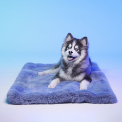 Tapis DUBAÏ pour chien et chat