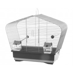 Comment choisir une cage pour vos oiseaux ? - Blog Colony Perroquet