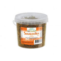 Sauterelles déshydratées 100 gr • Friandise pour poules, volailles et reptiles