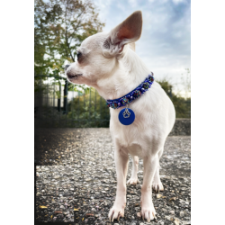 KFarah | Chien et Chiot | Collier Sphere Marine Cristal