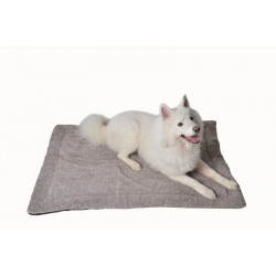 RAIKOU | Chien | Tapis antidérapant avec coussin