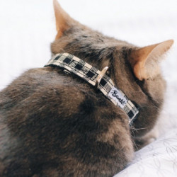 Bandit | Collier chat Veni Vidi Vichy