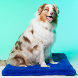 Le Tapis Rouge |  Tapis pour chien et chat haut de gamme | Bleu royal