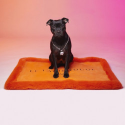 Le Tapis Rouge | Tapis pour chien et chat haut de gamme LISSE  | Orange lumineux
