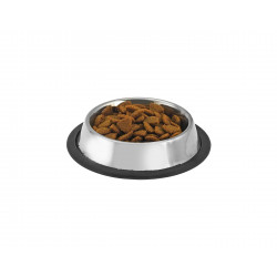 Gaun | Chien et Chat | Gamelle inox Pour l'eau ou les croquettes