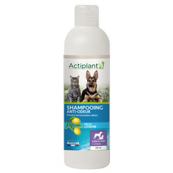 Actiplant' - Shampooing anti odeur parfum citron 250ml