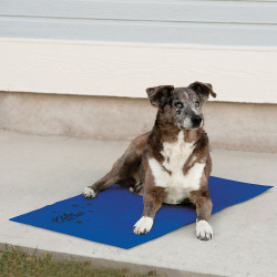 Climsom | Tapis rafraîchissant Coolin’ Pet Pad pour grand chien | Taille XL | Bleu