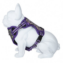 Freedog | Chien | Harnais réfléchissant BORÉAL | Lilas (violet)