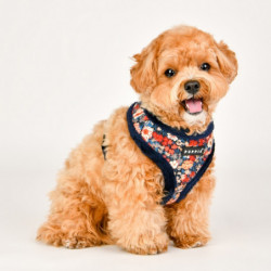 Puppia GIANNI | Chien | Harnais motif Liberty marine avec fourrure