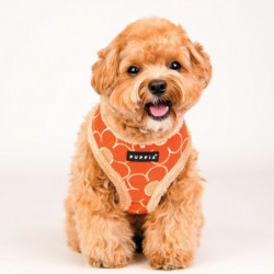 Puppia Florent | Chien | Harnais ajustable | Orange avec fourrure