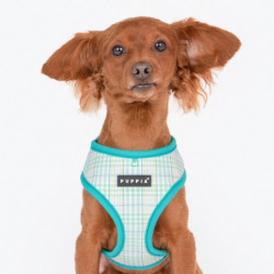 Puppia Luke | Chien | Harnais ajustable | Motif carreaux Turquoise