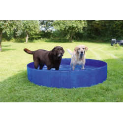 Piscine pour chien D80 CM