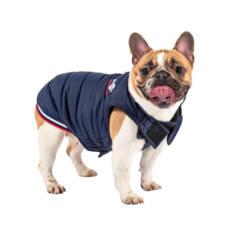 manteau pour chien bobby